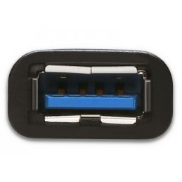 i-tec U31TYPEC adattatore per inversione del genere dei cavi USB 3.1 Type-C USB 3.0 Type-A Nero