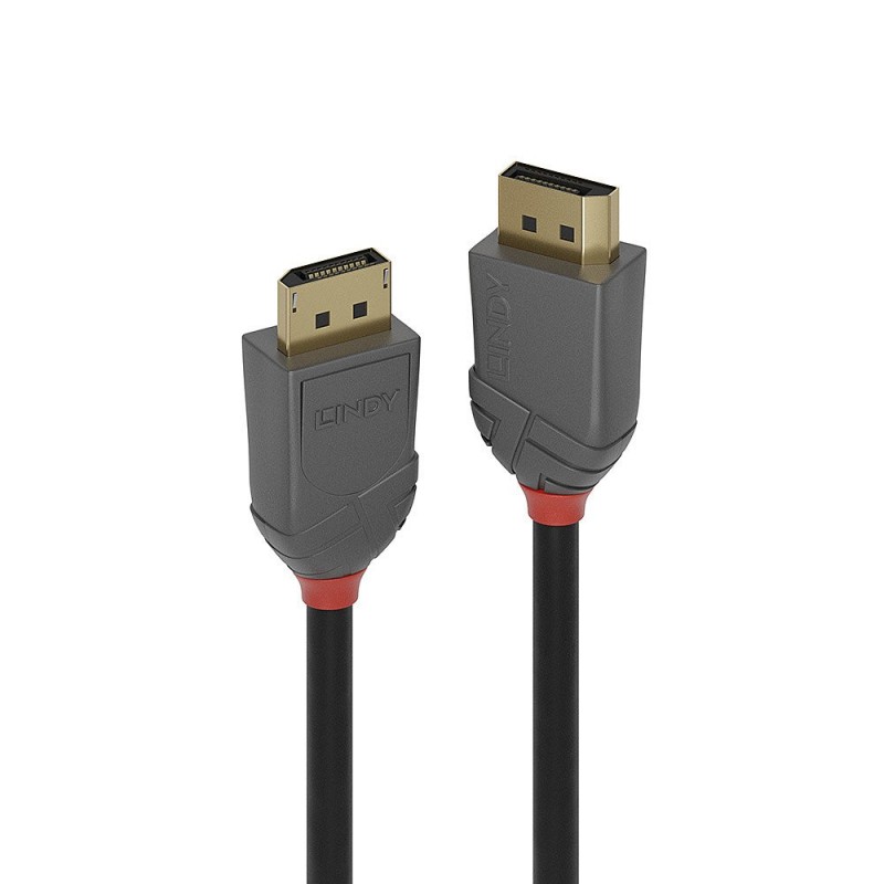 Lindy 36482 cavo DisplayPort 2 m Nero Lindy 36482 cavo DisplayPort 2 m Nero