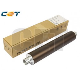 CACE3194