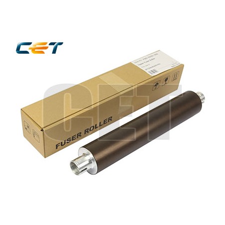 CACE3194
