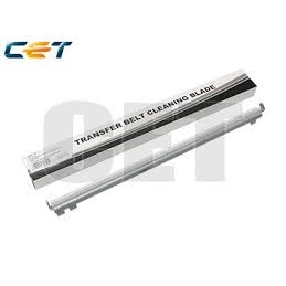 CACE281018