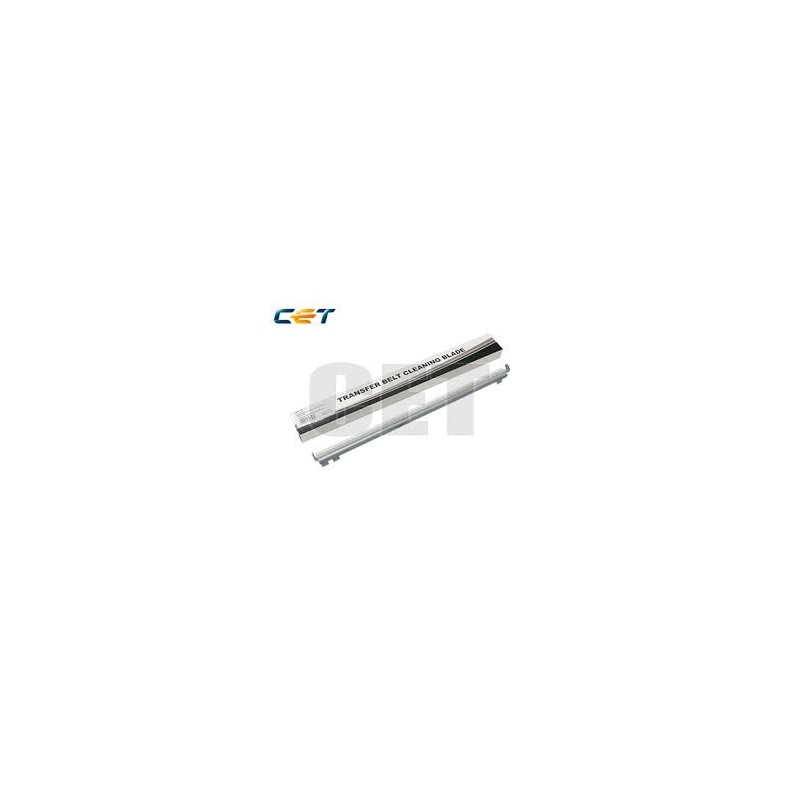 CACE281018