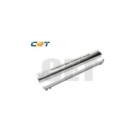 CACE281018