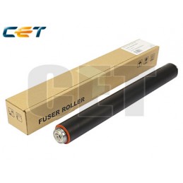CACE5030N
