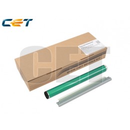 CACE5218