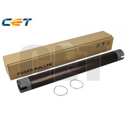 CACE2817