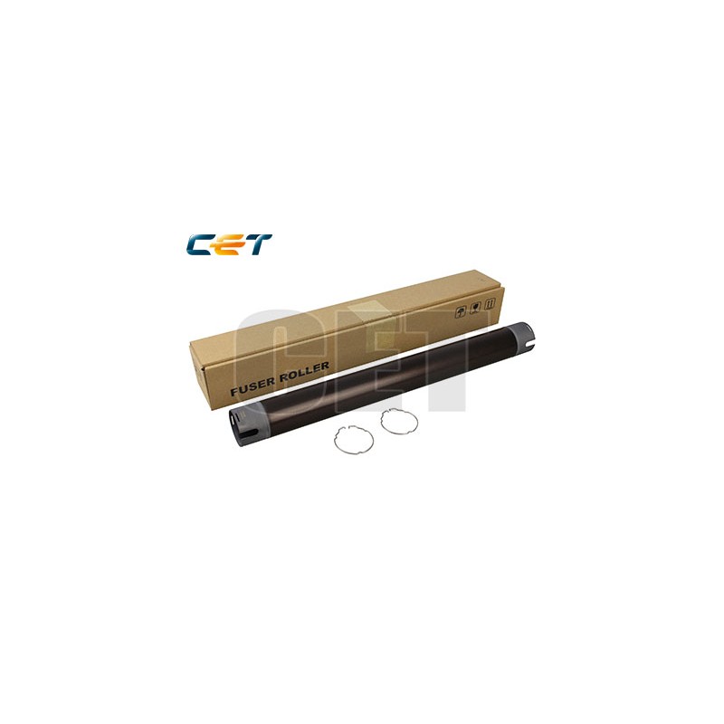 CACE2817