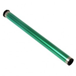 CACE3177U