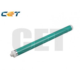 CACE101059