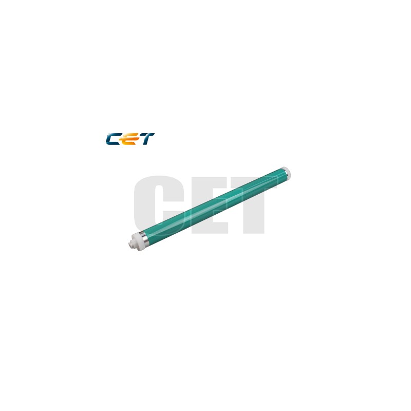 CACE101059