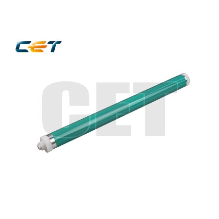 CACE101059