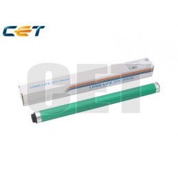 CACE101068