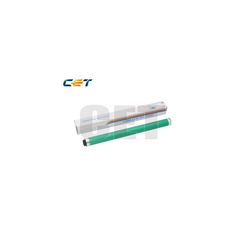 CACE101068