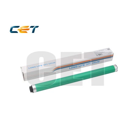 CACE101068