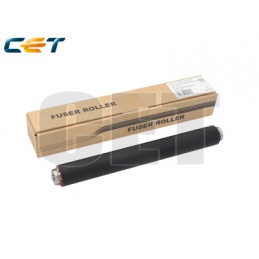 CACE5121