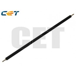 CACE5253