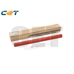 CACE311008
