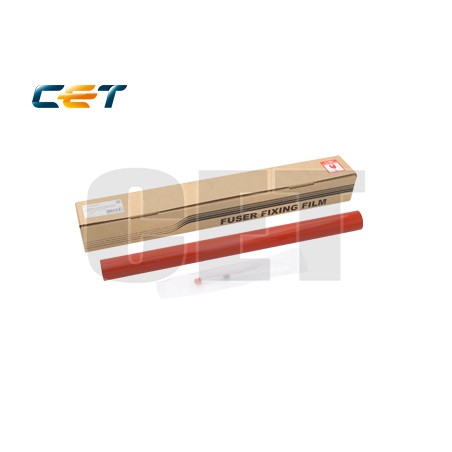 CACE311008