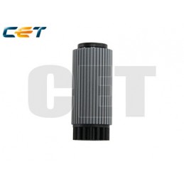 CACE5010