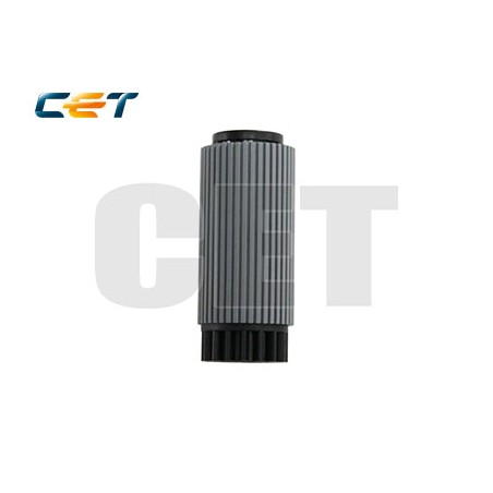 CACE5010