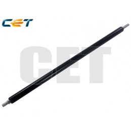 CACE5251