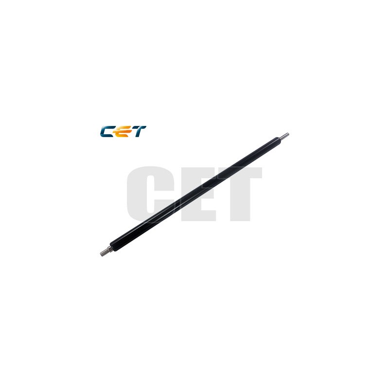 CACE5251