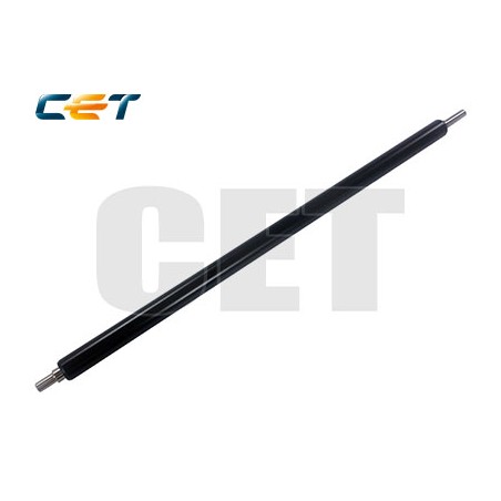 CACE5251
