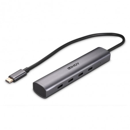 Lindy 43384 hub di interfaccia USB tipo-C 10000 Mbit s Grigio
