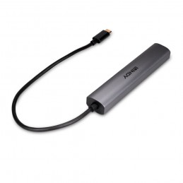 Lindy 43384 hub di interfaccia USB tipo-C 10000 Mbit s Grigio