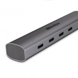 Lindy 43384 hub di interfaccia USB tipo-C 10000 Mbit s Grigio