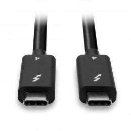Lindy 31121 Cavo Thunderbolt 2 m 40 Gbit s Nero