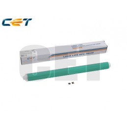 CACE101109