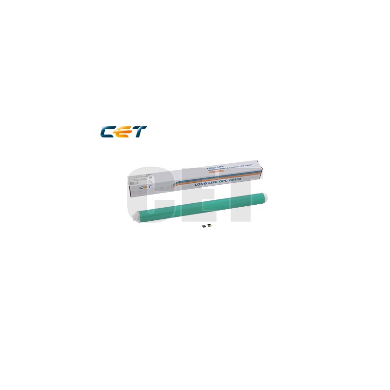 CACE101109