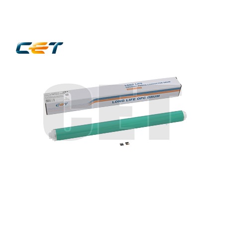 CACE101109