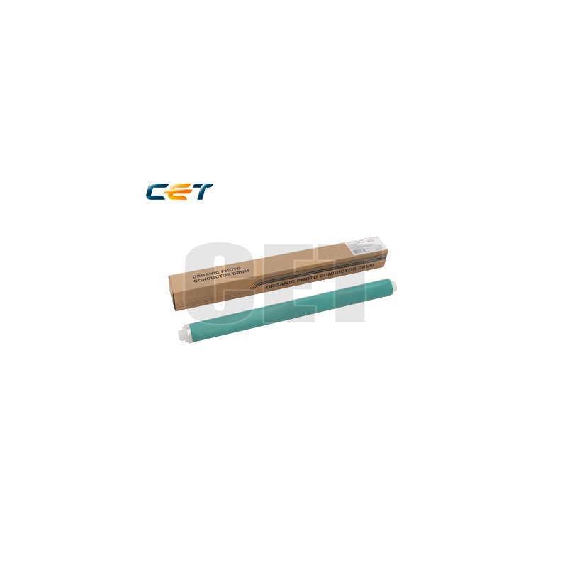 CACE101051 CACE101051