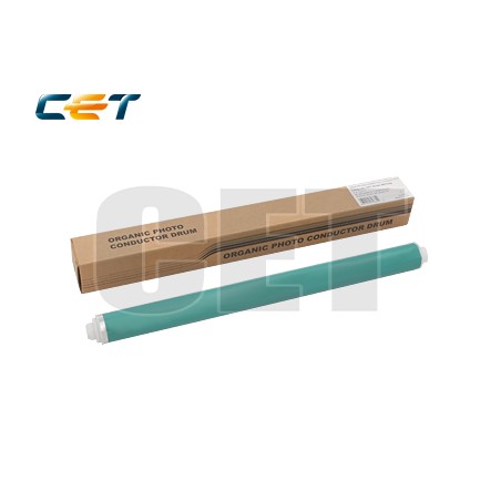 CACE101051