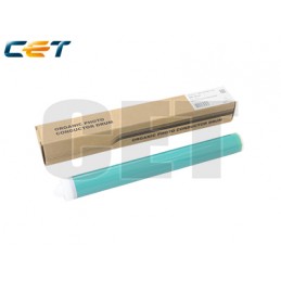 CACE101073