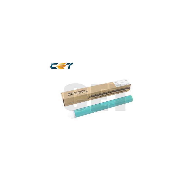 CACE101073