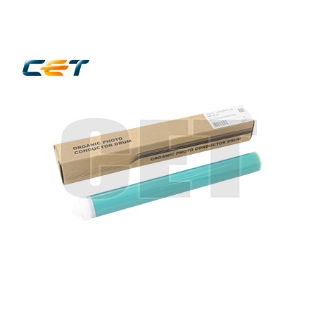 CACE101073