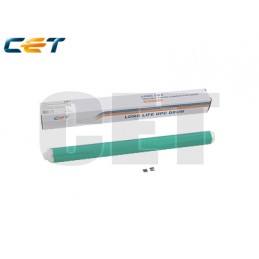 CACE101110