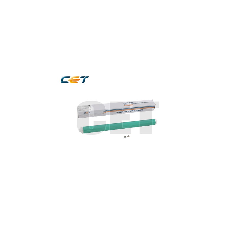 CACE101110