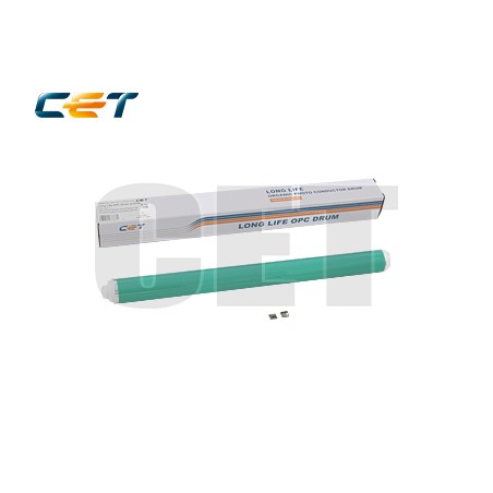 CACE101110