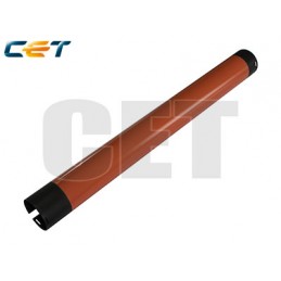 CACE5015