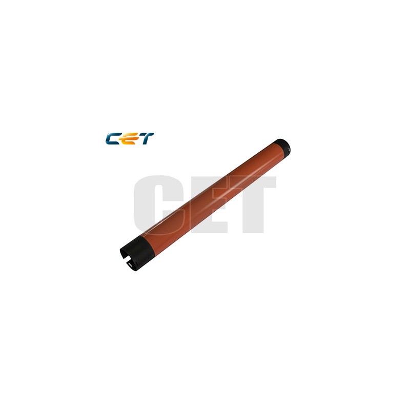 CACE5015