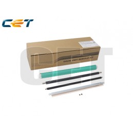 CACE501040