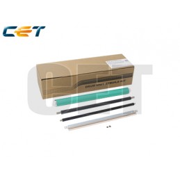 CACE501041