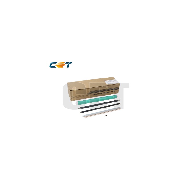 CACE501041