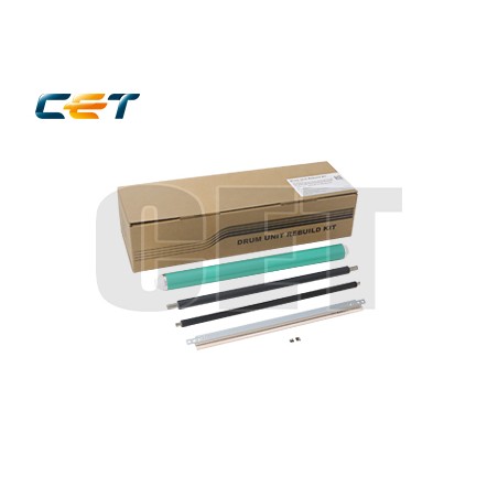 CACE501041
