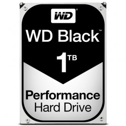 https://www.fileimmagini.it/prodth/WD1003FZEXRICE_.jpg