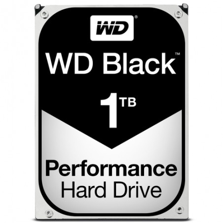 https://www.fileimmagini.it/prodth/WD1003FZEXRICE_.jpg